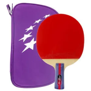 DHS T2006 Penhold (CS) Racket Set