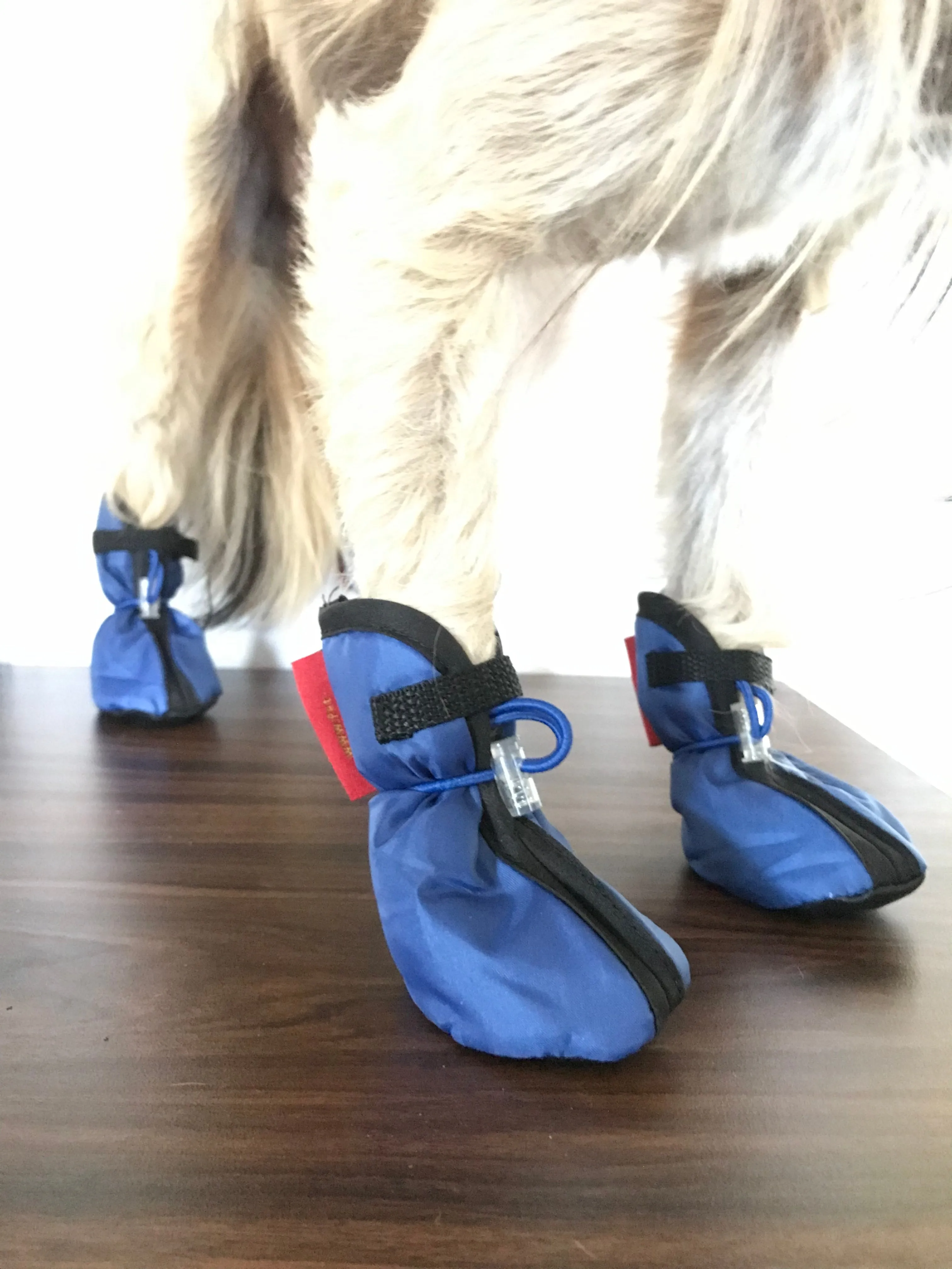 Dog Pet Boots Set of 4 Stay-On Indoor Outdoor weatherproof Nylon Shoes protection