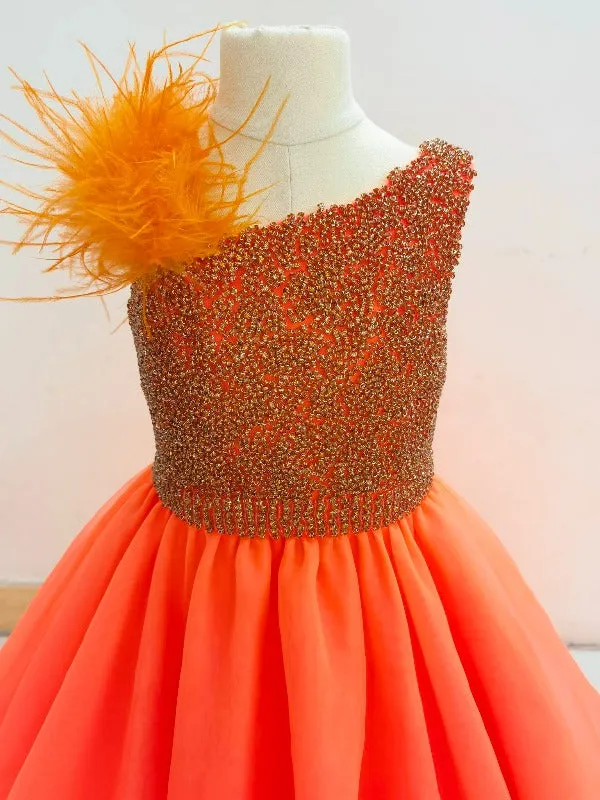 Gorgeous Little Girls Beauty Pageant Dress with Feather