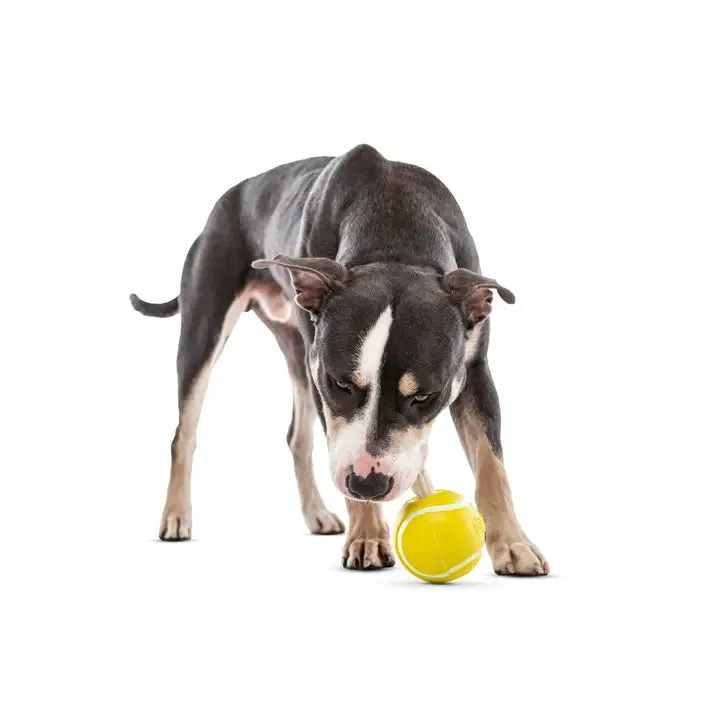 Guru Pet Tennis Treat Ball Dog Chew Toy