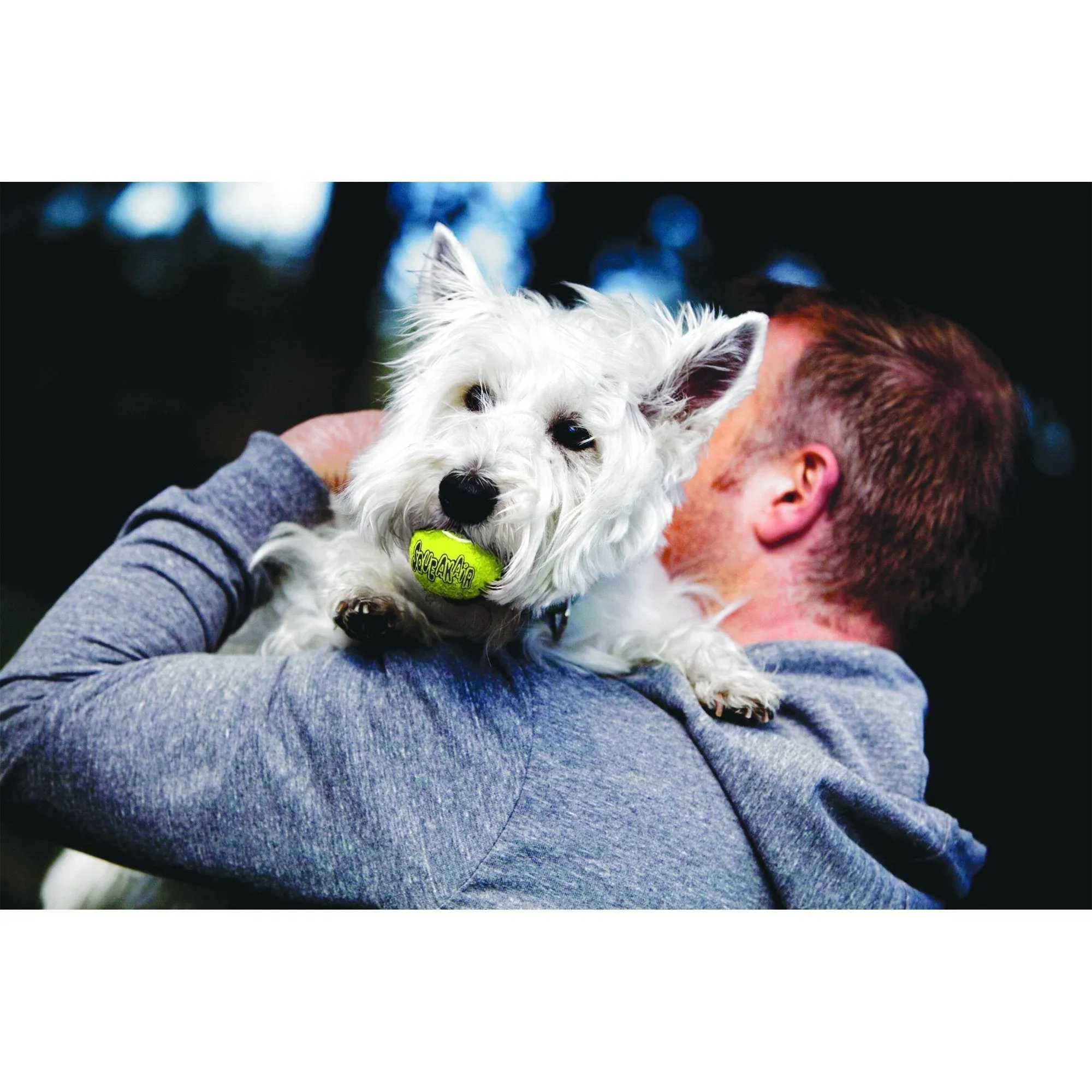 KONG Airdog Squeaker Balls Small Dog Toy 3 Pack