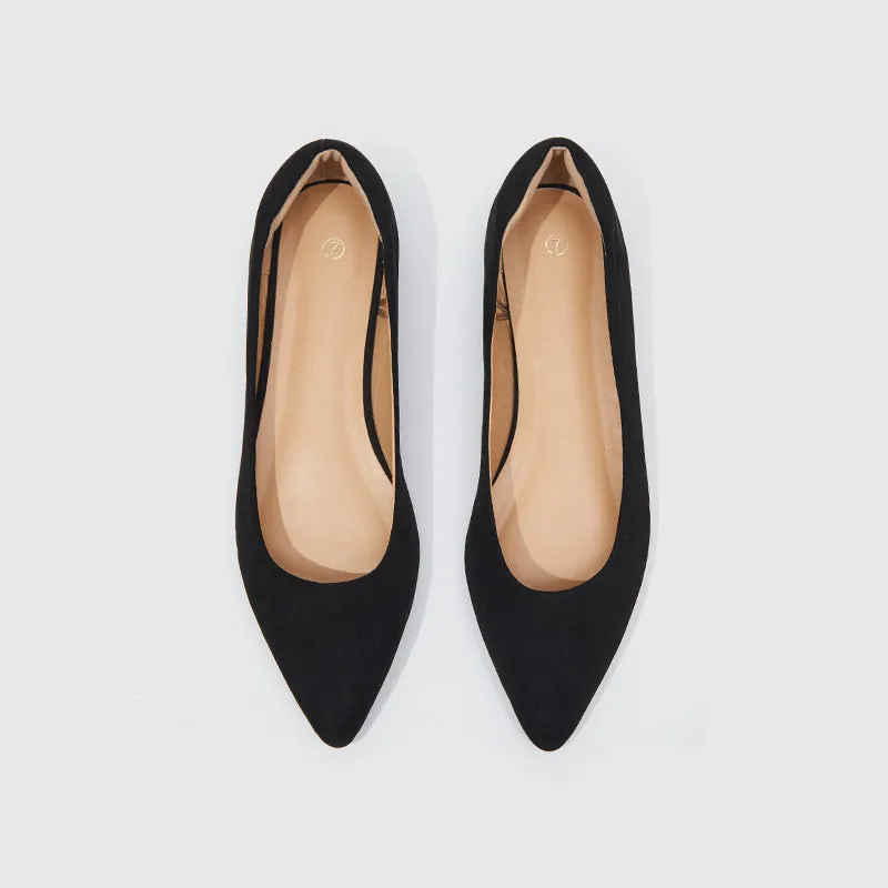 Pointed Toe Ballet Flats