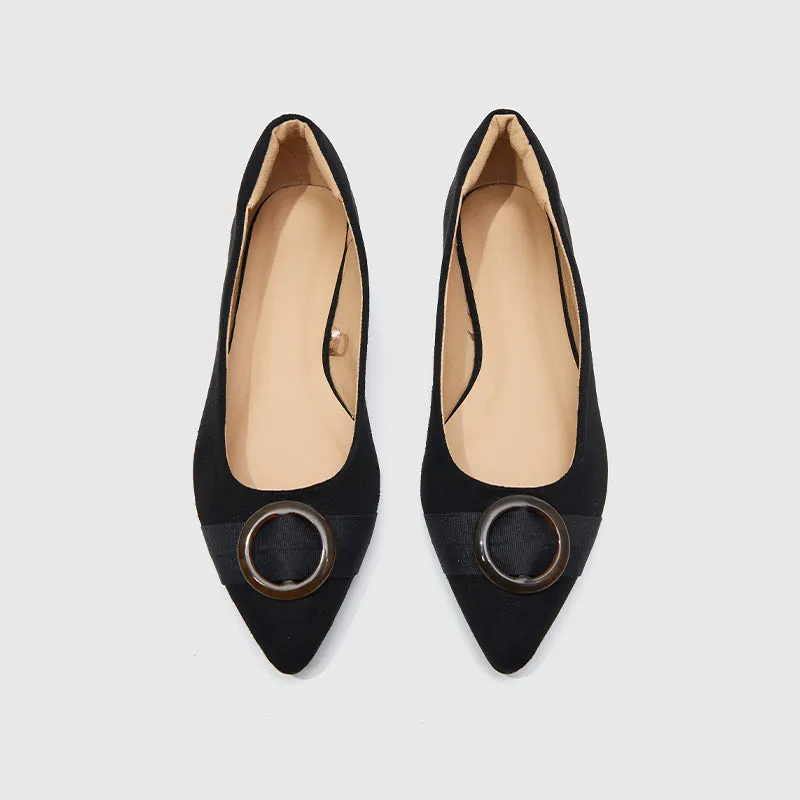 Pointed Toe Ballet Flats