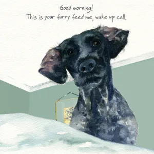 The Little Dog Laughed Wake Up Call Card